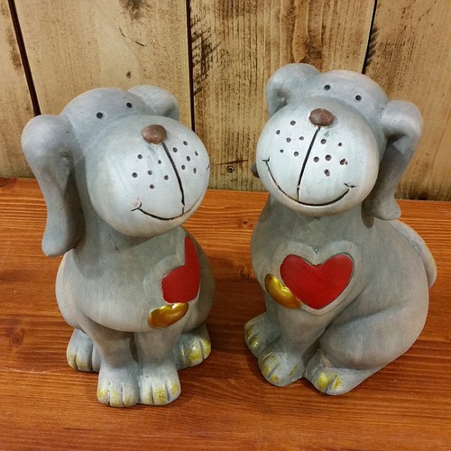 Cane grigio cuore rosso medio - cuore,