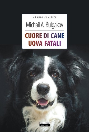 Cuore cane uova - cuore, fatali.